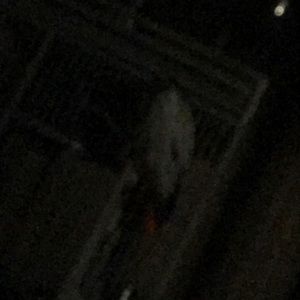 Meet your Posher, Joanna